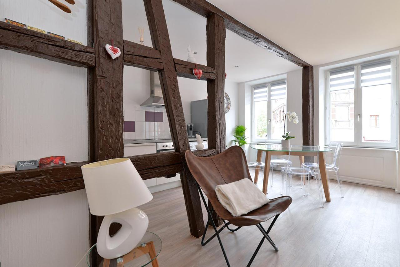 Petite Venise Gite Saint Pierre 2 Pieces 3 Etoiles Classement Tourisme Colmar Luaran gambar